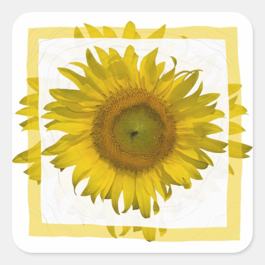 Sticker Carré Tournesol jaune (Devant)