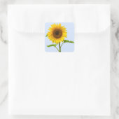 Sticker Carré Tournesol Jaune Floral, Amour Fleur (Sac)