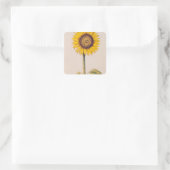 Sticker Carré Tournesol ou Helianthus (Sac)