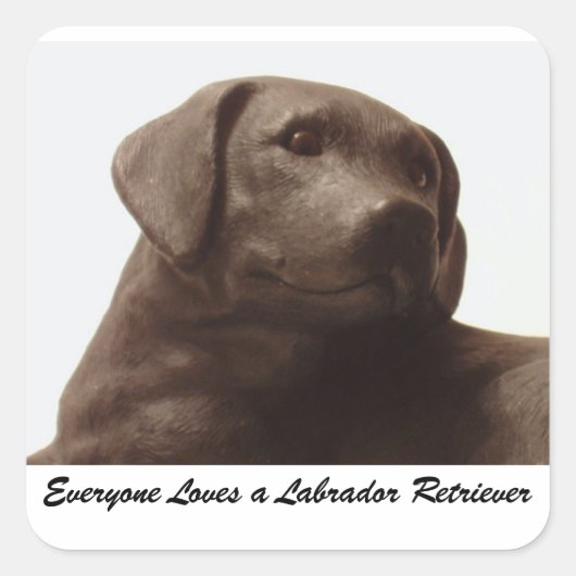 Sticker Carré Tout le monde aime un Labrador Retriever (Devant)