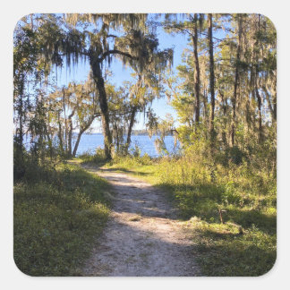 Sticker Carré Trail By The River