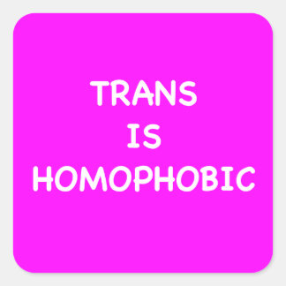 STICKER CARRÉ TRANS EST HOMOPHOBE