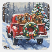 Sticker Carré Treeing Walker Coonhound Christmas Red Truck (Devant)