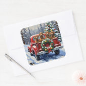 Sticker Carré Treeing Walker Coonhound Christmas Red Truck (Enveloppe)