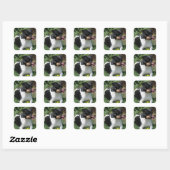 Sticker Carré Tri couleur Jack Russell Terrier Chien chiot (Feuille)
