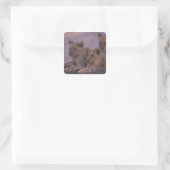 Sticker Carré Trois Lions Cubs (Sac)