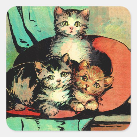 Sticker Carré trois petits chatons (Devant)