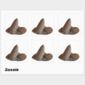Sticker Carré Trois pinecones (Feuille)