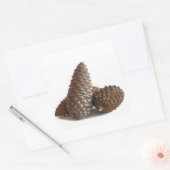 Sticker Carré Trois pinecones (Enveloppe)
