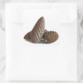Sticker Carré Trois pinecones (Sac)