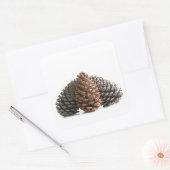 Sticker Carré Trois pinecones (Enveloppe)