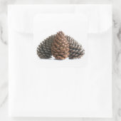 Sticker Carré Trois pinecones (Sac)