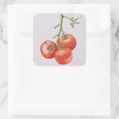 Sticker Carré Trois tomates sur la vigne 1997 (Sac)