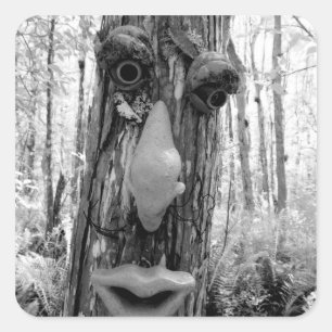 Sticker Carré Troll d'arbre sur un arbre Big Cypress.