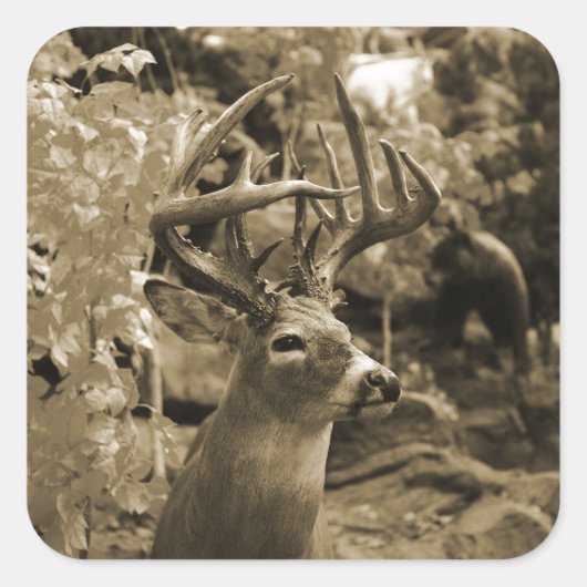 Sticker Carré Trophée Deer (Devant)