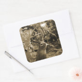 Sticker Carré Trophée Deer (Enveloppe)