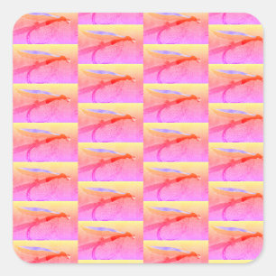 Sticker Carré Trout, basse et crappie trois poissons favoris squ