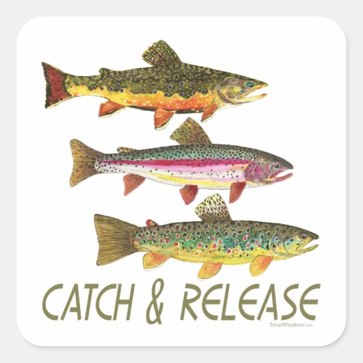 Sticker Carré Trout Catch and Release (Devant)
