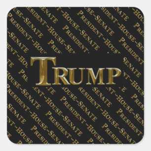 STICKER CARRÉ TRUMP 2024