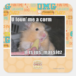 Sticker Carré Tu m'as trouvé du maïs