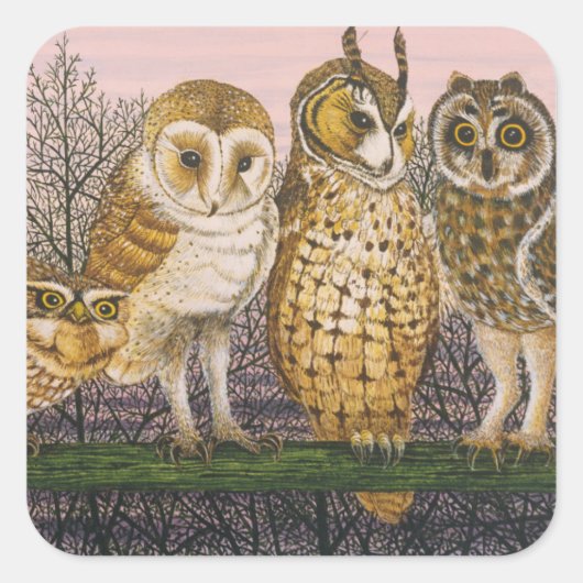 Sticker Carré Tu-whit Tu-whooing (Devant)