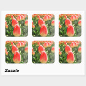Sticker Carré Tulip Heaven (Feuille)
