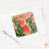 Sticker Carré Tulip Heaven (Enveloppe)