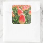 Sticker Carré Tulip Heaven (Sac)