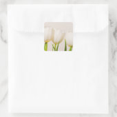 Sticker Carré Tulipes blanches sur fond blanc, (Sac)