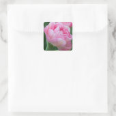 Sticker Carré Tulipes doubles roses (Sac)