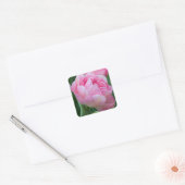 Sticker Carré Tulipes doubles roses (Enveloppe)