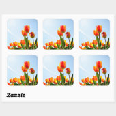 Sticker Carré Tulipes orange et rouge du dessous (Feuille)