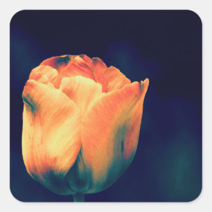Sticker Carré Tulipes orange et verte *Personnaliser*