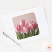 Sticker Carré tulipes roses (Enveloppe)