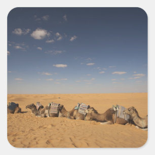 Sticker Carré Tunisie, Ksour Area, Ksar Ghilane, Grand Erg 2