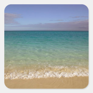 Sticker Carré Turks and Caicos, île de Providenciales, Grace 2