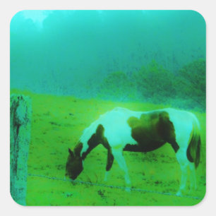 Sticker Carré Turquoise brouillard Reto colorié poney peint Chev