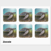 Sticker Carré Turtle At Dusk | Bay (Feuille)