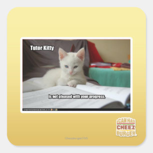 Sticker Carré Tuteur Kitty