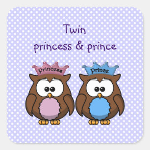 Sticker Carré twin owl princess