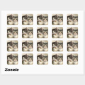 Sticker Carré Two lovely Victorian kittens (Feuille)