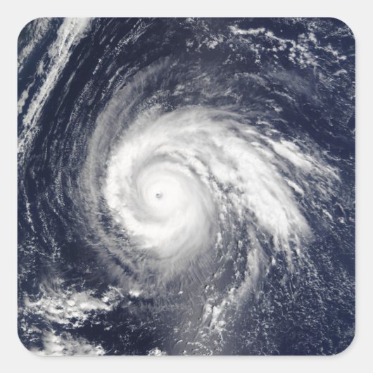 Sticker Carré Typhon Higos (Devant)