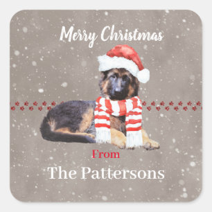 Sticker Carré Un berger allemand bouffant si mignon