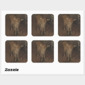 Sticker Carré Un Calf Jersey (Feuille)