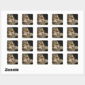 Sticker Carré Un chat tabby lèche sa patte. (Feuille)