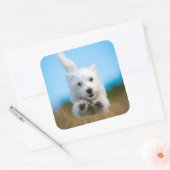 Sticker Carré Un Chiot De Terrier De L'Ouest Mignonne Courant (Enveloppe)
