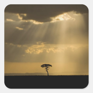 Sticker Carré Un coucher de soleil mystique au retour au camp da