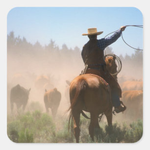 Sticker Carré Un cow-boy travaillant le troupeau lors d'une cond