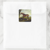Sticker Carré Un hippocampe de châtaignes par George Stubbs (Sac)
