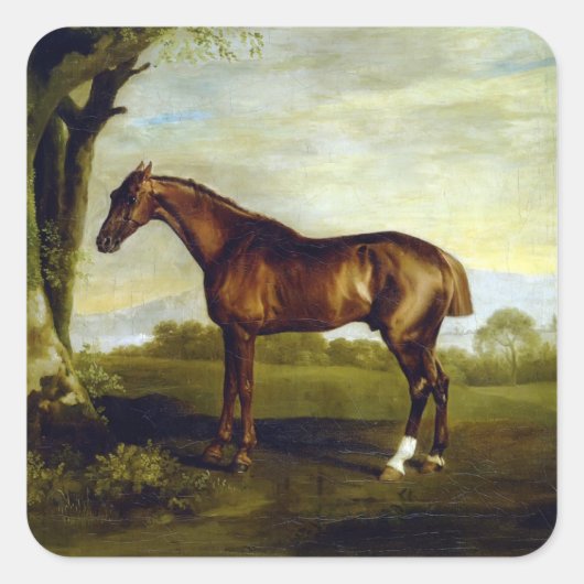 Sticker Carré Un hippocampe de châtaignes par George Stubbs (Devant)